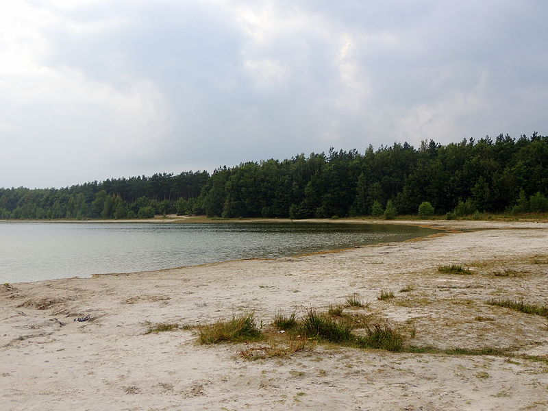 File:Het mooie Canadameer-Drents Friesewold.JPG