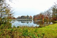 Holzweiher 2019 (24).JPG