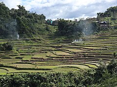 Hungduan Poblacion Rice Terraces steps