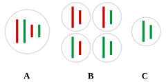 Hybridogenesis in water frogs gametes.svg