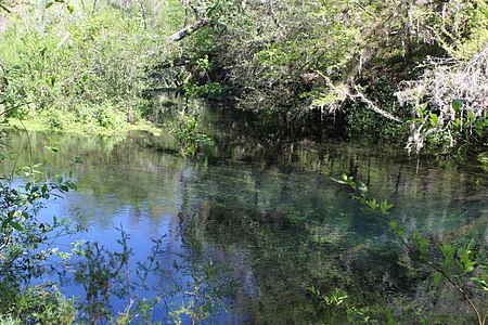 Ichetucknee River, March 2018 in Florida