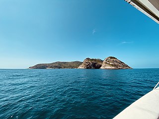 <span class="mw-page-title-main">Alcatrazes Islands</span> Archipelago off the coast of São Paulo state, Brazil