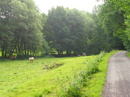 Im Seifersdorfer Grund