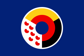 Interfrisian flag of the Interfrisian Council