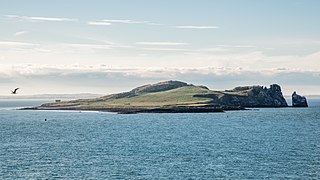 <span class="mw-page-title-main">Ireland's Eye</span> Marine island in County Dublin, Ireland