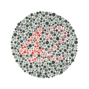 Ishihara Plate No. 23 (42)