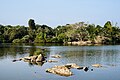 * Nomination Bird islands viewed from boat jetty, Ranganathittu Bird Sanctuary --Tagooty 01:58, 21 January 2024 (UTC) * Decline  Oppose Sorry, too much motion blur --Plozessor 04:46, 21 January 2024 (UTC)