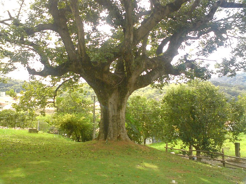 File:Itupeva - São Paulo, Brasil - panoramio (1).jpg