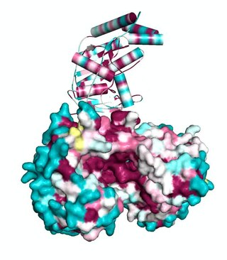 <span class="mw-page-title-main">NS1 antigen test</span>