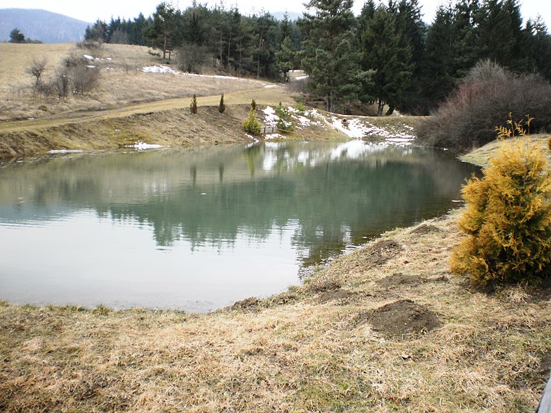 File:Jazierka nad Čelkovou Lehotou - panoramio - Michal Jakubský.jpg