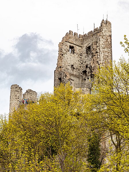 File:Königswinter, Drachenfels, Burg Drachenfels -- 2024 -- 3930.jpg