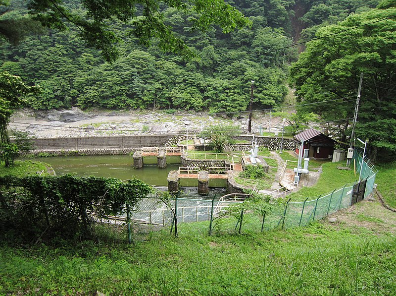 File:Kamikuya Power Station grit chamber.jpg