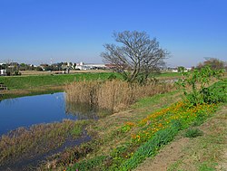 旧倉松第二調整池