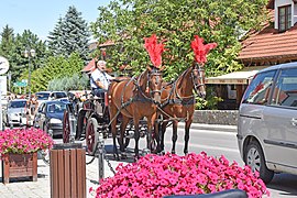 Kazimierz, une calèche