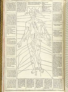 Wound Man from the Fasiculo de Medicina (Venice, 1495). Ketham p24.jpg