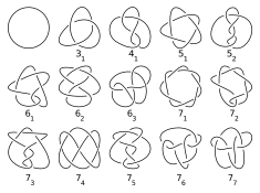 Three rows each of five images of loops with text labels beneath each