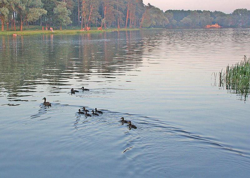 File:Kratovo lake - panoramio - Andris Malygin.jpg