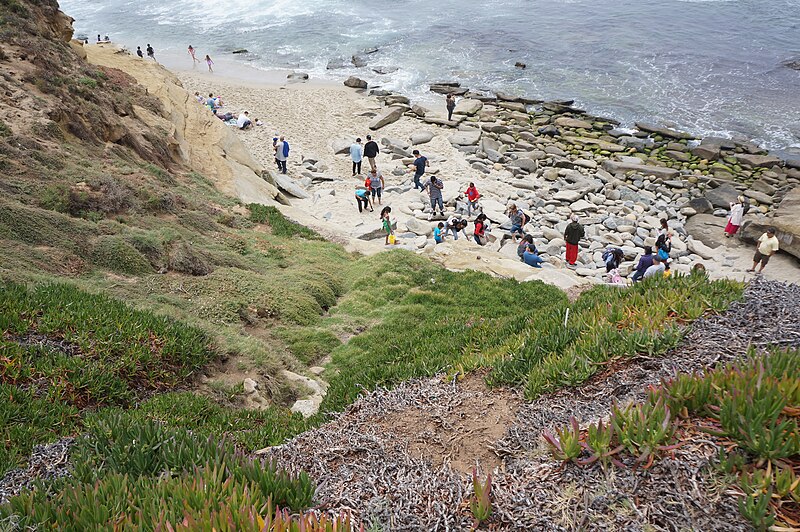 File:La Jolla Cove 11 2016-06-02.jpg