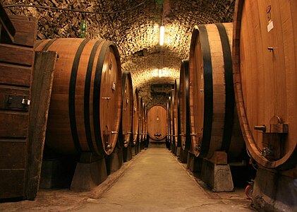 Large botti size oak barrels in Chianti.jpg