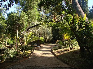 Le parc exotique du Plantier de Costebelle.jpg