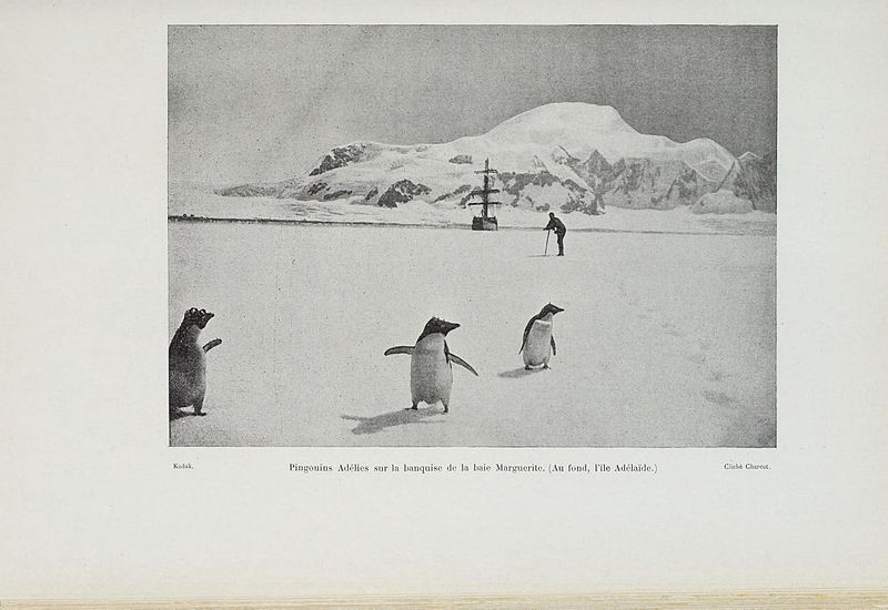 File:Le pourquoi-pas dans l'Antarctique (Page 99) BHL46836288.jpg