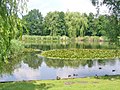 Lichtenrade - Dorfteich (Village Pond) - geo.hlipp.de - 38620.jpg