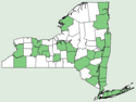 Linaria vulgaris NY-dist-map.png
