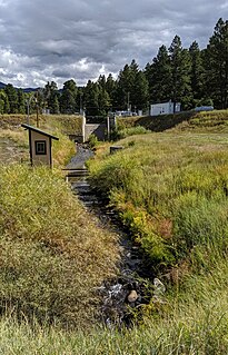 <span class="mw-page-title-main">Little Navajo River</span> River