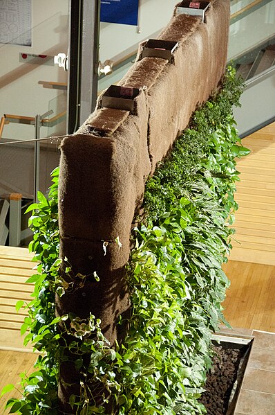 File:Livingwall.jpg