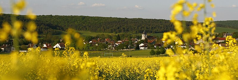 File:Longchamp-sur-Aujon panoramique (mai 08) Thiebs.jpg