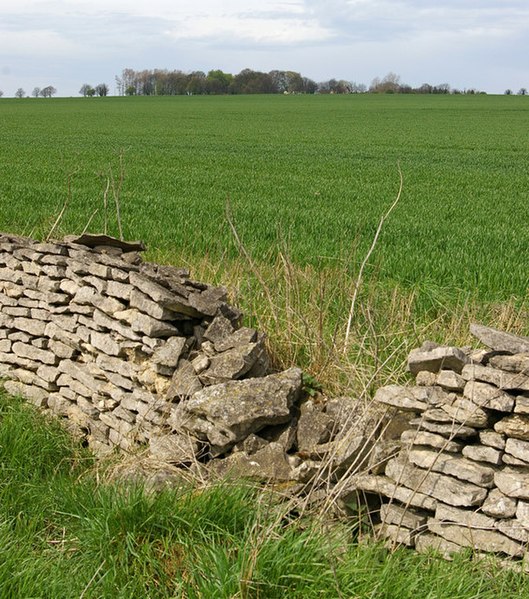 File:Looking towards High Risby - geograph.org.uk - 777625.jpg