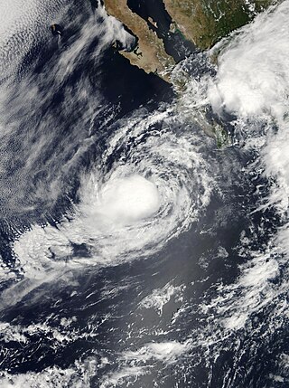 <span class="mw-page-title-main">Tropical Storm Lowell (2008)</span> Pacific tropical storm in 2008