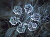 Macro photo of snowflake.jpg