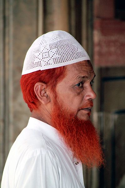 File:Man inside the Jama Masjid - Delhi (10067387973).jpg