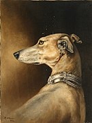 Greyhound in Profile by Marie H. Guise Newcomb, nd