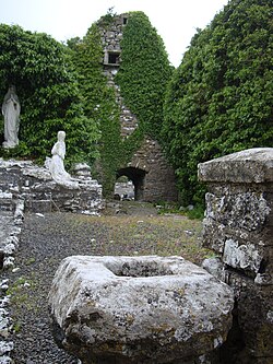 Remains of Mayo abbey church