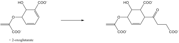 Step 2 in the biosynthesis of menaquinone MenD.png