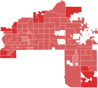 <span class="mw-page-title-main">2020 Mesa mayoral election</span>