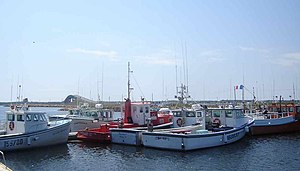 View of fishing boats on Miscou Island, showing the Miscou Island Bridge in the background.