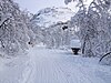 Cross country tracks at Mjøfjell in Raundalen.