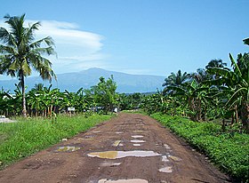 Vue du mont Cameroun depuis Tiko au sud-est.