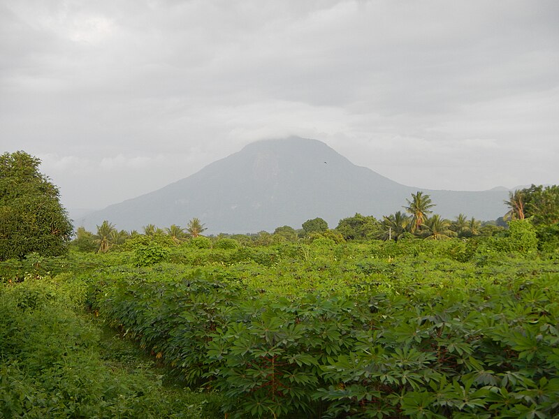 View from the top of Mount Maculot