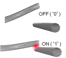 Figure 2: Carbon nanotube contact points NRAM contact point.png