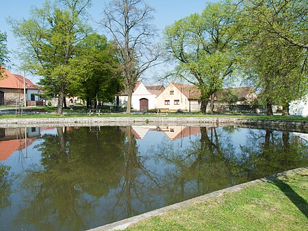 Nebřehovice rybník