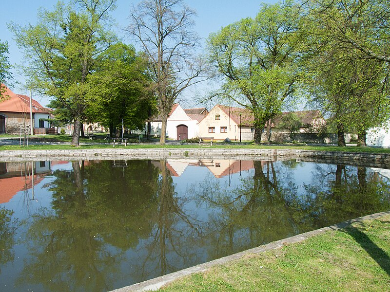 File:Nebřehovice - rybník.jpg