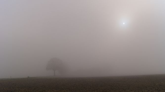 Trees and sun in the heavy mist, Landsberg am Lech, Germany