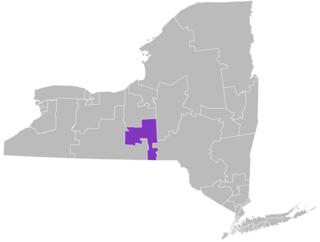 <span class="mw-page-title-main">New York's 52nd State Senate district</span> American legislative district