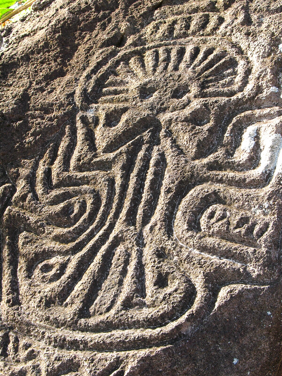 petroglyphe