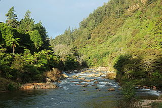 Ohinemuri River river in New Zealand