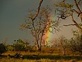 Okavangodelta Xakanaxa Regenstimmung